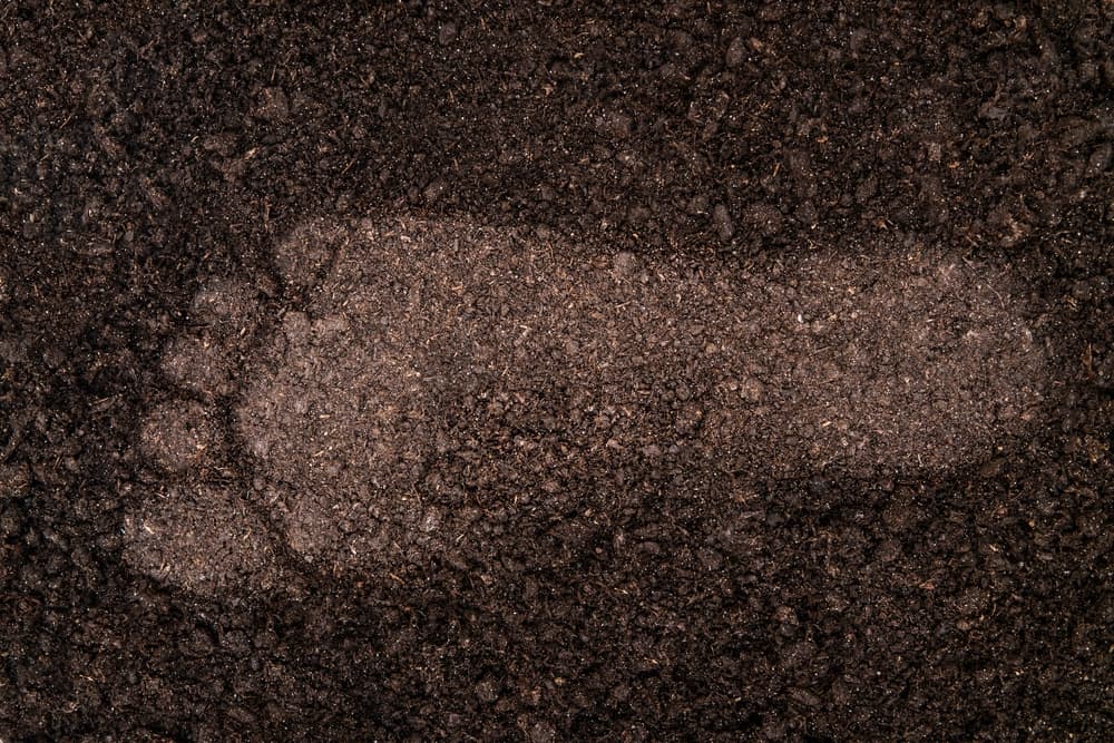 ارتینگ انسان!!